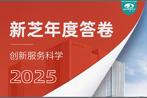 「新芝2025年度答卷」以深耕赴山海，以創(chuàng)新啟新程！