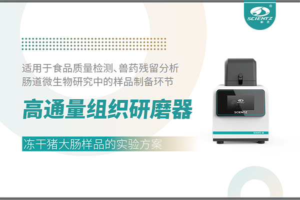 高通量組織研磨器處理凍干豬大腸樣品的實(shí)驗(yàn)方案