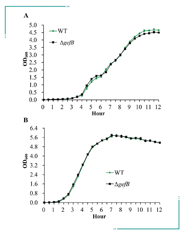 應用數(shù)據(jù)